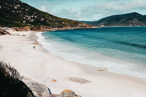 Private Wilsons Promontory Hiking Tour From Melbourne - Darwin Holiday 5