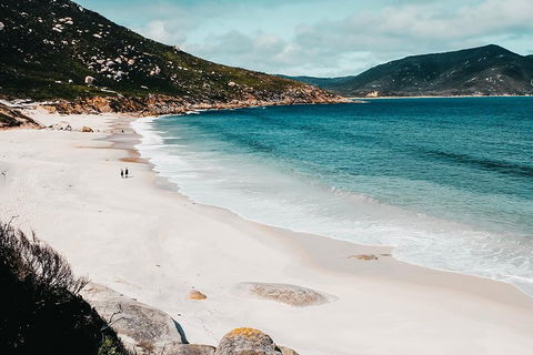 Small Group - Wilsons Promontory Hiking Day Tour From Melbourne - Darwin Holiday 2