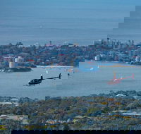 30-Minute Sydney Harbour and Olympic Park Helicopter Tour - Darwin Holiday