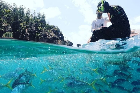 2 Night Small Group Whitsundays Sailing Adventure Aboard Mandrake - Darwin Holiday 5