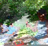 Deluxe Winery Tour to Tamborine Mountain includes gourmet two course lunch - Darwin Holiday