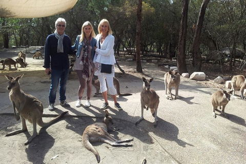 Private Scenic Day Trip From Sydney For Families And Friends - Darwin Holiday 1