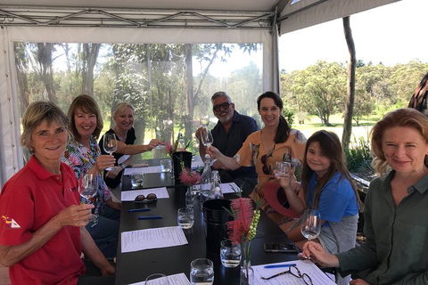 Private Scenic Day Trip From Sydney For Families And Friends - Darwin Holiday 5