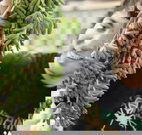 Small-Group Adelaide Central Market Early Breakfast Tour - Darwin Holiday