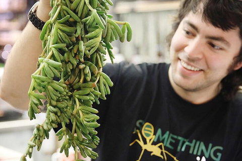 Small-Group Adelaide Central Market Early Breakfast Tour - Darwin Holiday 0