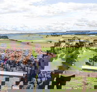 Private Tour of Melbourne - Darwin Holiday