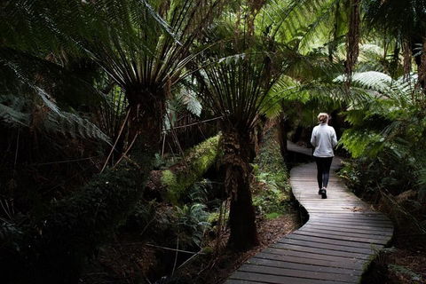 Private Tour Of Melbourne - Darwin Holiday 2