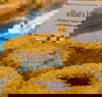 Sydney Walking Tour Secrets of Sydney - Darwin Holiday