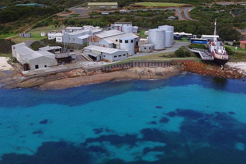 Albany's Whale Story - Darwin Holiday 4