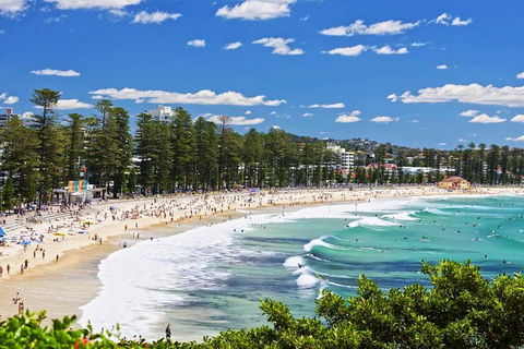 Sydney's Northern Beaches Private Tour With River Cruise To Secluded Beaches - Darwin Holiday 0