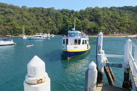 Sydney's Northern Beaches Private Tour With River Cruise To Secluded Beaches - Darwin Holiday 2