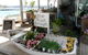Sydney's Northern Beaches Private Tour With River Cruise To Secluded Beaches - thumb 4