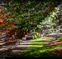 Fully Inclusive Blue Mountains Private Tour inc Scenic World  Featherdale entry - Darwin Holiday