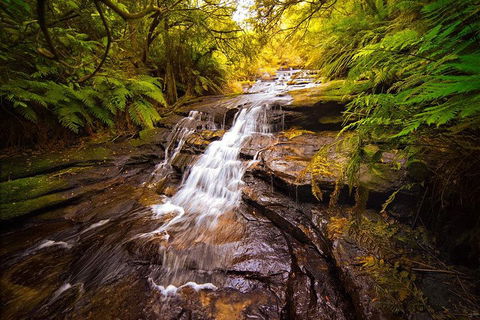 Fully Inclusive Blue Mountains Private Tour Inc Scenic World & Featherdale Entry - Darwin Holiday 3