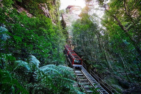 Fully Inclusive Blue Mountains Private Tour Inc Scenic World & Featherdale Entry - Darwin Holiday 4
