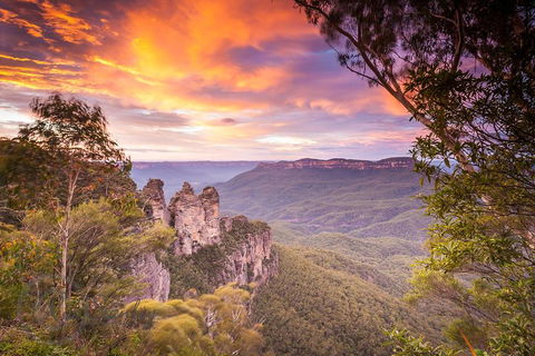 Fully Inclusive Blue Mountains Private Tour Inc Scenic World & Featherdale Entry - Darwin Holiday 5