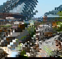 Big Bus Sydney and Bondi Hop-on Hop-off Tour - Darwin Holiday