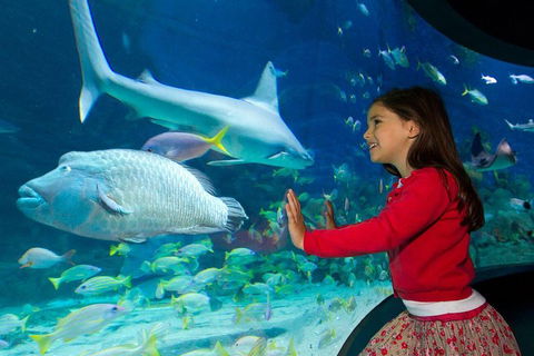 SEA LIFE Melbourne Aquarium Admission Ticket - Darwin Holiday 1