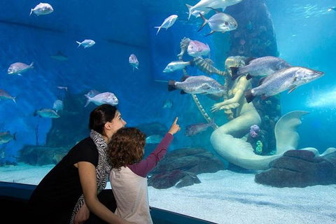 SEA LIFE Melbourne Aquarium Admission Ticket - Darwin Holiday 4