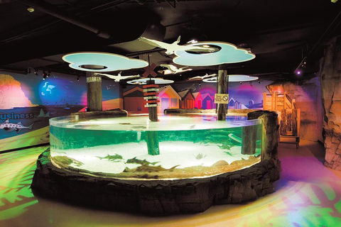 SEA LIFE Melbourne Aquarium Admission Ticket - Darwin Holiday 5