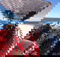 Adventure Rottnest Tour with Ferry  Adventure Cruise from Perth or Fremantle - Darwin Holiday