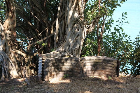 Darwin Walking Tour: World War II Reflections - Darwin Holiday 3