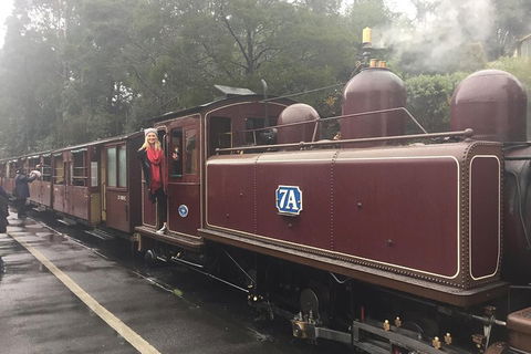 Puffing Billy, Moonlit Sanctuary & Penguins Day Tour - Darwin Holiday 4