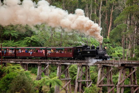 Melbourne Combo: Great Ocean Road, Puffing Billy, Moonlit Sanctuary & Penguins - Darwin Holiday 1