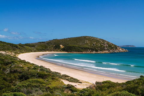 3 Day Great Ocean Road, Phillip Island & Wilsons Promontory Ultimate Tour - Darwin Holiday 4