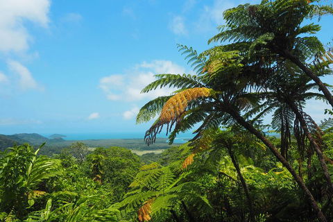 Cape Tribulation, Daintree Rainforest And Wildlife Tour - Darwin Holiday 3