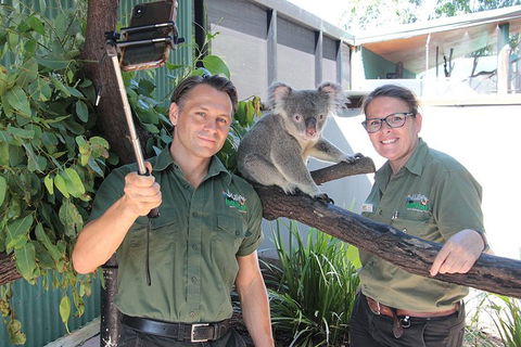 Virtual Interactive Australian Wildlife Tour With Private Guide-Wildlife Habitat - Darwin Holiday 0