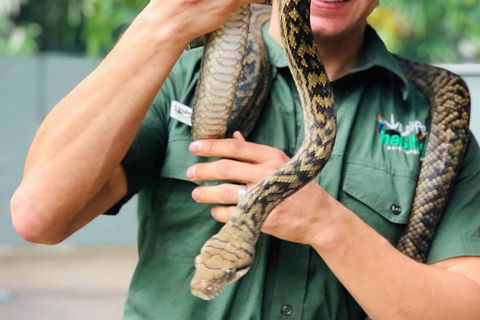 Virtual Interactive Australian Wildlife Tour With Private Guide-Wildlife Habitat - Darwin Holiday 1