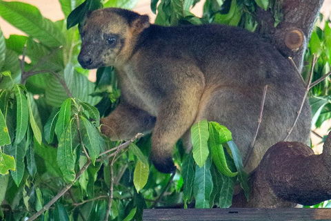 Virtual Interactive Australian Wildlife Tour With Private Guide-Wildlife Habitat - Darwin Holiday 4