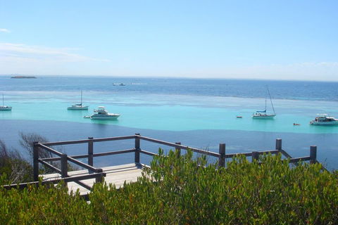 Rottnest Bayseeker Bus Tour From Hillarys Boat Harbour - Darwin Holiday 3