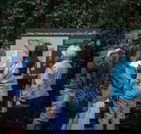 Sunshine Coast Hinterland and Noosa Day Trip from Brisbane Including Eumundi Markets and Ginger Factory - Darwin Holiday