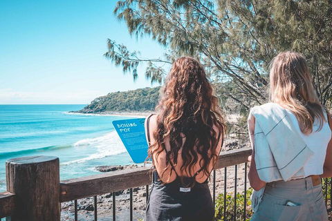 Sunshine Coast Hinterland And Noosa Day Trip From Brisbane Including Eumundi Markets And Ginger Factory - Darwin Holiday 2