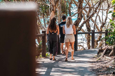 Sunshine Coast Hinterland And Noosa Day Trip From Brisbane Including Eumundi Markets And Ginger Factory - Darwin Holiday 4