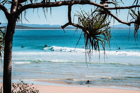 Sunshine Coast Hinterland And Noosa Day Trip From Brisbane Including Eumundi Markets And Ginger Factory - Darwin Holiday 5