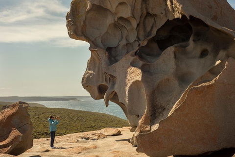 Kangaroo Island In A Day Tour From Adelaide - Darwin Holiday 5