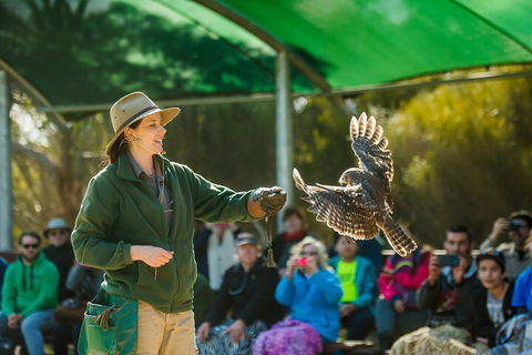 Full Day Kangaroo Island Sip And See Tour Departing From Kangaroo Island - Darwin Holiday 1