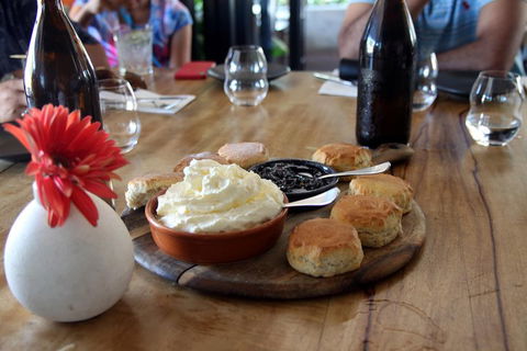 Small-Group Afternoon Cairns City Tour With Harbour Dinner Cruise - Darwin Holiday 3
