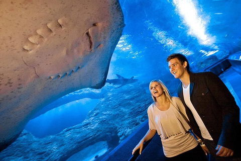 Dive With Sharks At AQWA - Darwin Holiday 0
