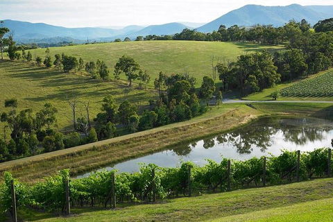 CHEVY CONVERTIBLE Package For 2 People- Wine Lunch Cheese & Chocolate From Melb. - Darwin Holiday 0