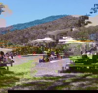 Yarra Valley Wine and Cider Tours by Classic Convertibles from Melbourne - Darwin Holiday