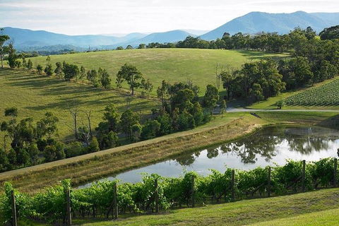 Yarra Valley Wine And Cider Tours By Classic Convertibles From Melbourne - Darwin Holiday 1