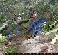 Small-Group Blue Mountains Tour with Bush Walks and Featherdale Wildlife Park - Darwin Holiday