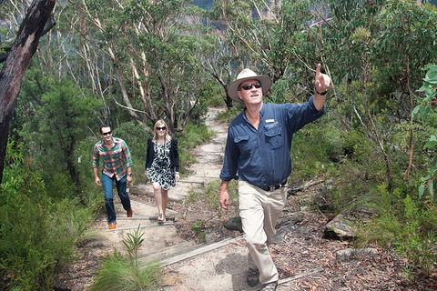 Small-Group Blue Mountains Tour With Bush Walks And Featherdale Wildlife Park - Darwin Holiday 0