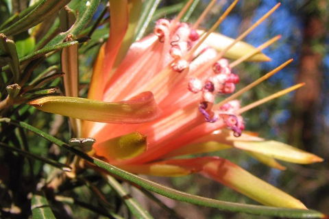 Small-Group Blue Mountains Tour With Bush Walks And Featherdale Wildlife Park - Darwin Holiday 4