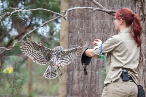 Moonlit Sanctuary Wildlife Conservation Park Daytime General Entry Ticket - Darwin Holiday 1