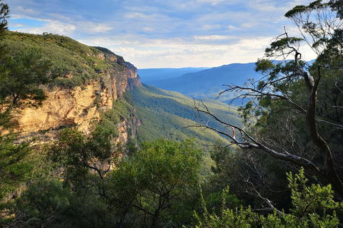 Blue Mountains Day Tour With Wildlife At Sunset From Sydney - Darwin Holiday 5